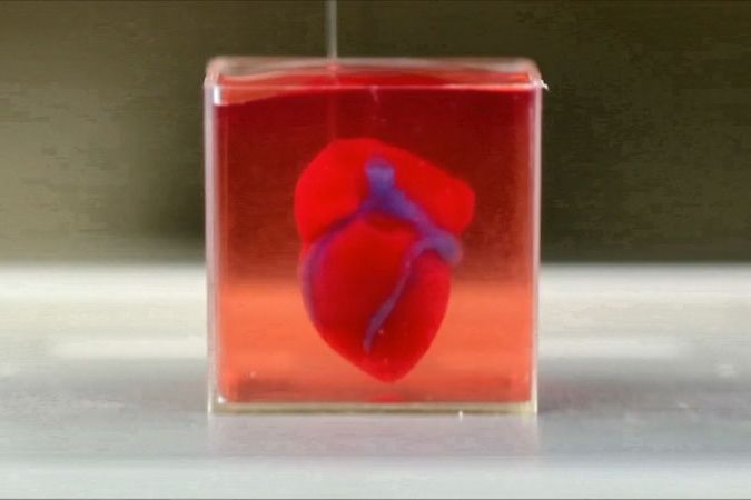 BEZ KOMENTÁŘE: Izraelští vědci vyrobili srdce i s cévním systémem na 3D tiskárně