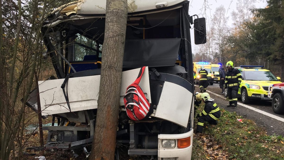 Autobus narazil do stromu.