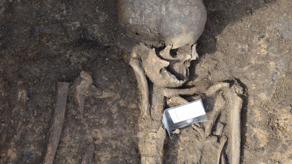 Hradečtí archeologové objevili v Sendražicích doklad bohatého pravěkého osídlení.