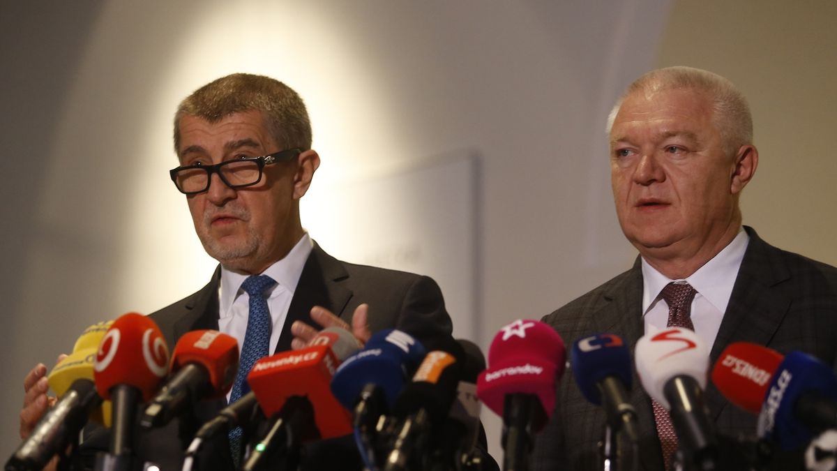 Premiér Andrej Babiš a předseda poslanců ANO Jaroslav Faltýnek na archivním snímku