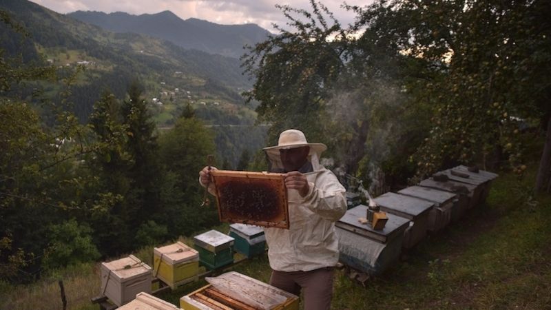 Roman Šantadze je včelař a Charita Česká republika mu v Gruzii pomohla asi s deseti úly a také s medometem. 