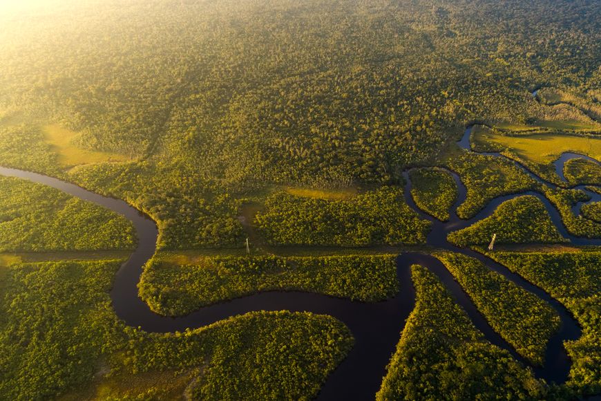Amazonský deštný prales v Brazíli (ilustrační foto).