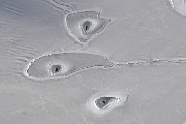 V zamrzlém Beaufortově moři se objevily podivné díry.