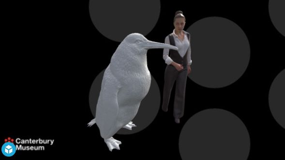 Model obřího tučňáka rodu Crossvallia v životní velikosti.