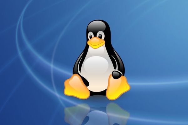 Symbolem operačního systému Linux je tučňák.
