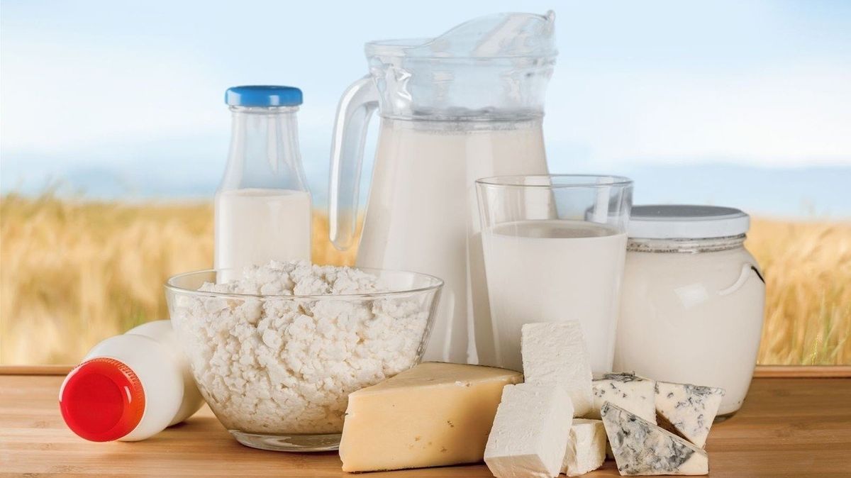 Z mléčných výrobků by lidé měli preferovat jogurty, kysané výrobky, mléko a v menší míře i sýry.