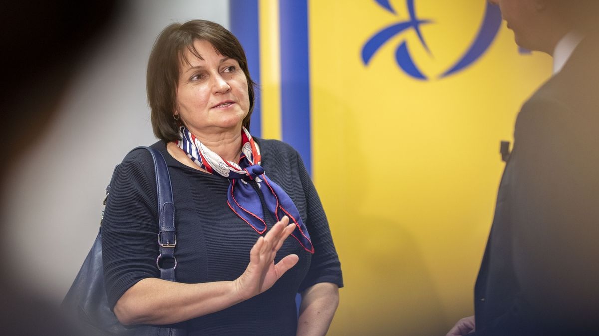 Šojdrová z KDU-ČSL zpochybnila zvolení Koláře z TOP 09 europoslancem
