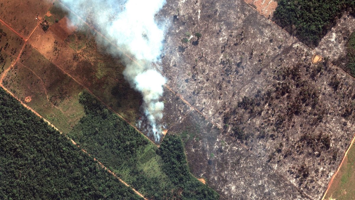 Satelilní záběr požáru porostu jihozápadně o brazilského Porto Velho