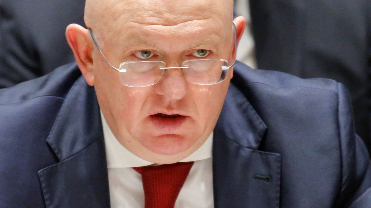 Rusko v kostce: Jednejme, řekl vyslanec Moskvy v OSN. Když začal mluvit Ukrajinec, odešel