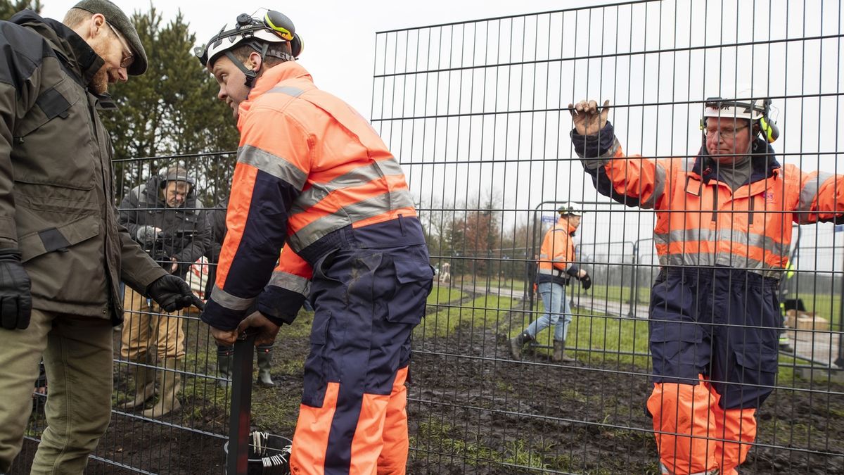 Dánští dělníci při stavbě plotu.