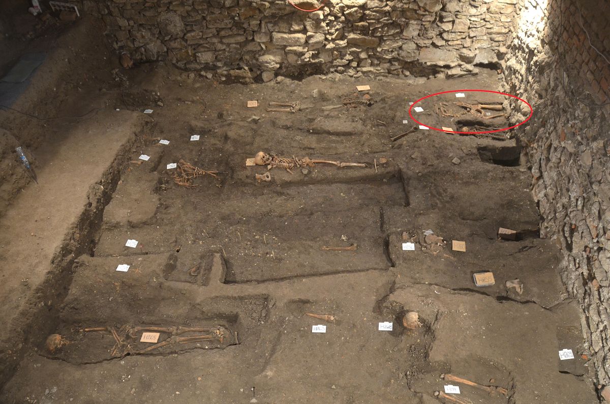 Archeologové odkryli při výzkumu stovky hrobů.
