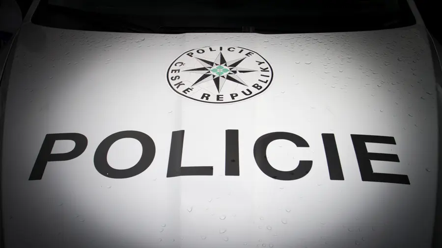 Policiste Nasli Pohresovaneho Chlapce Novinky Cz