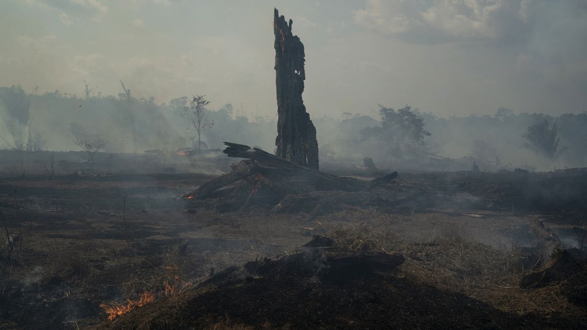 Vypálená část pralesa v brazilské Amazonii. 