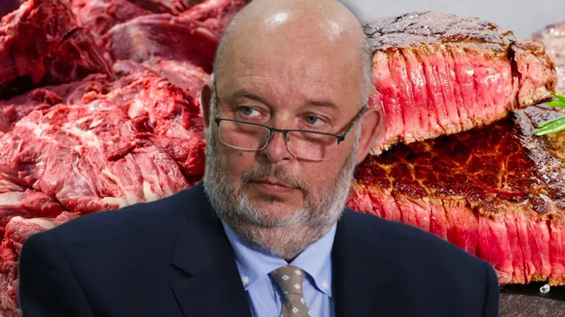 Hovezi Maso Z Polska Nakazene Salmonelou Se Dostalo Do Brna I