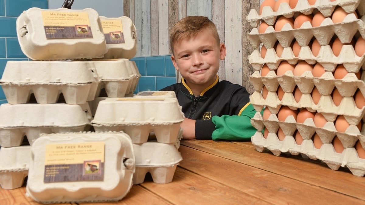 Junior Wyatton rozjel úspěšné podnikání s vajíčky.