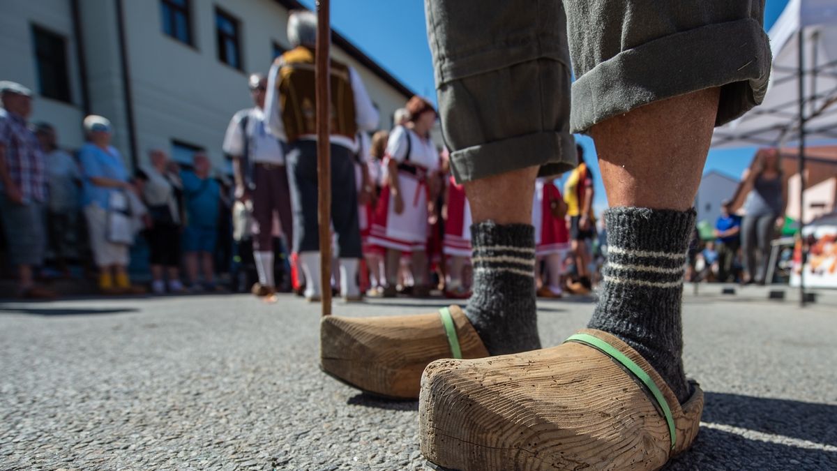 Na Slavnostech dřeva v jihočeských Volarech 18. srpna 2019 návštěvníci překonali rekord při pochodu v dřevákách. Do průvodu je obulo 310 lidí. 