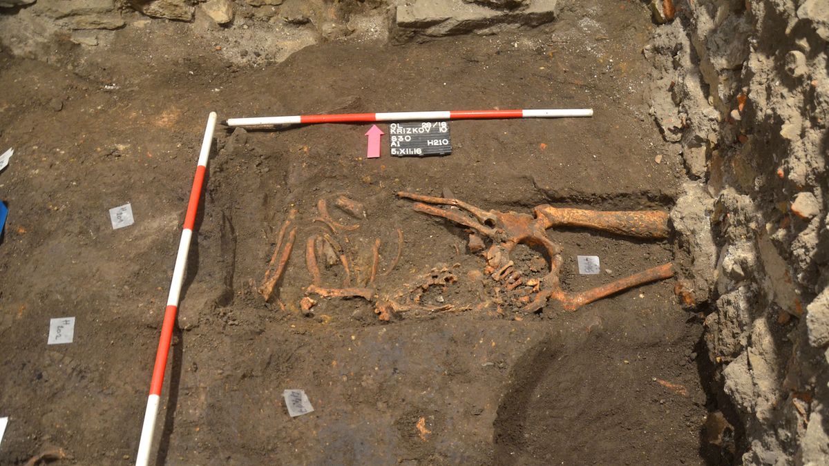 Nález hrobu se značně deformovanými kostmi zaujal odborníky již v terénu.