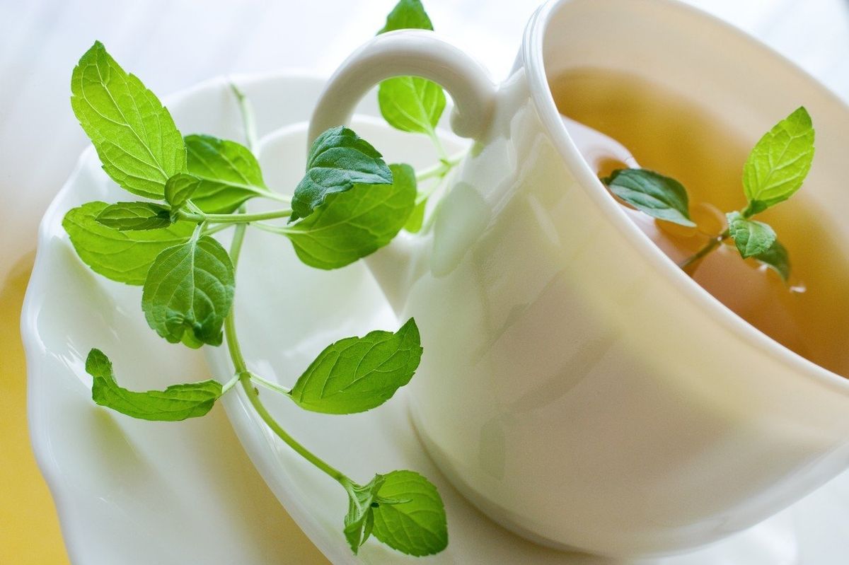 Mátový čaj pomůže při nevolnosti, špatném trávení nebo nadýmání. 