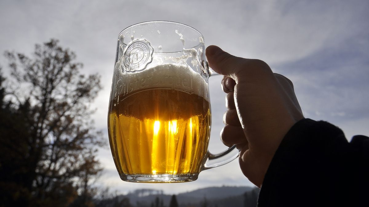 Pro záchranu hospod musí každý dospělý Brit v létě vypít 60 litrů piva