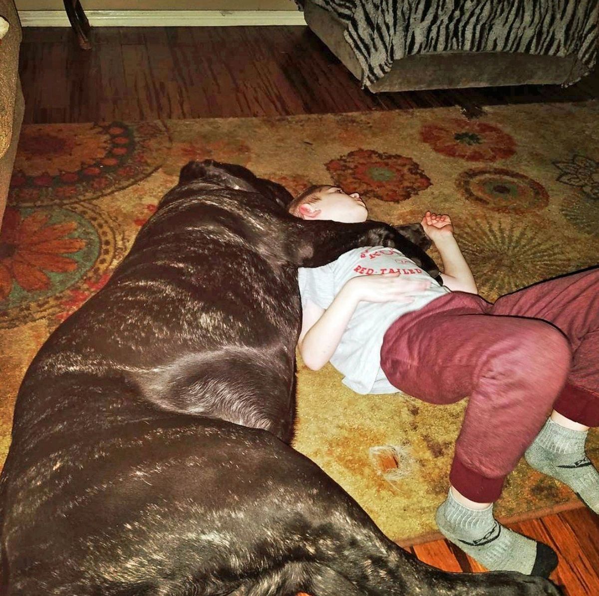 Jak to u velkých psů bývá, Euphrates miluje děti.
