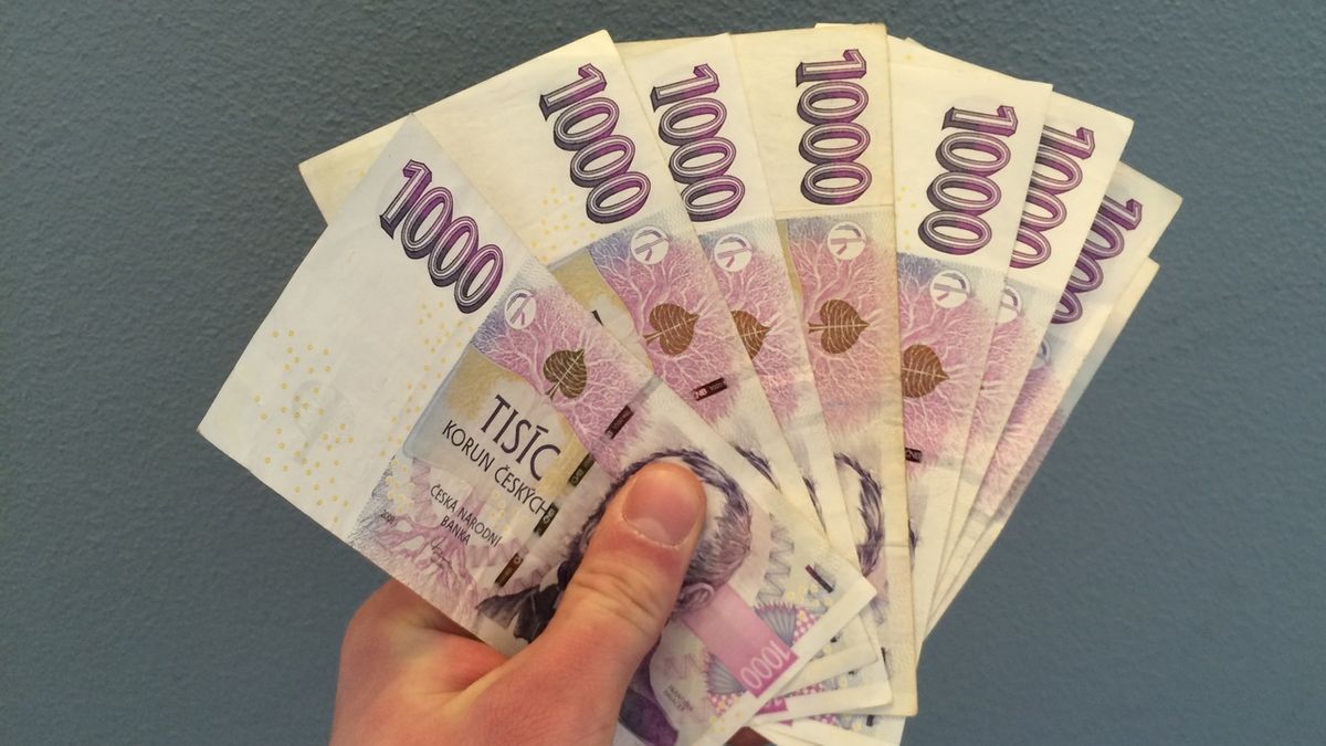Za měsíční půjčku 10 tisíc mohou Češi dát až 14 500 korun