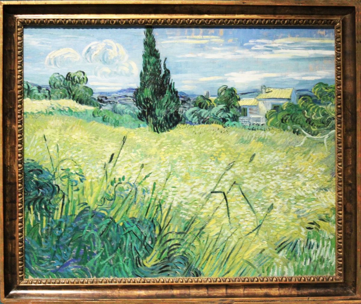 Olej nizozemského malíře Vincenta van Gogha Zelené obilí patří k výrazným exponátům sbírky. 
