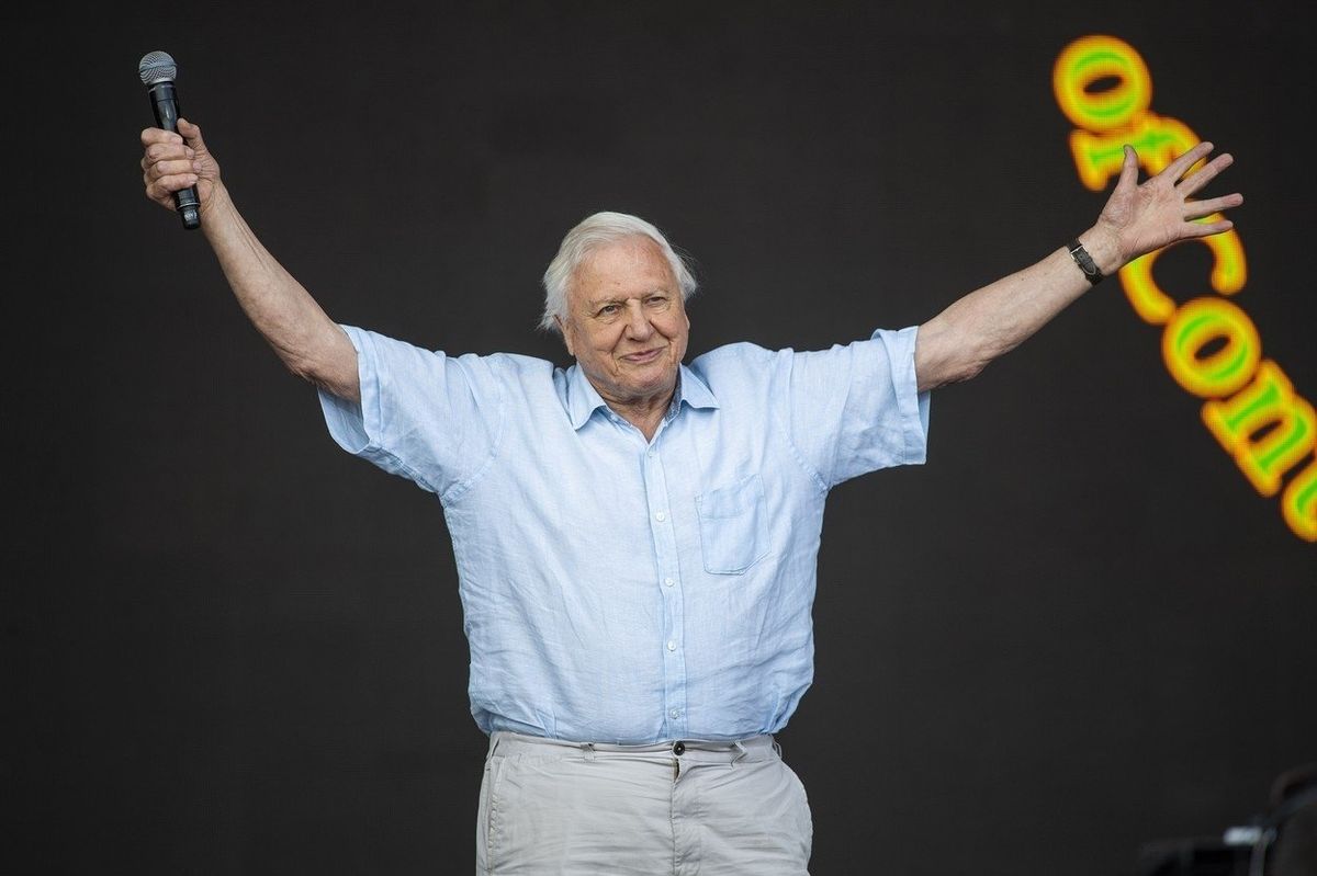 Sir David Attenborough vystoupil na festivalu, aby varoval před dalším znečišťováním planety.