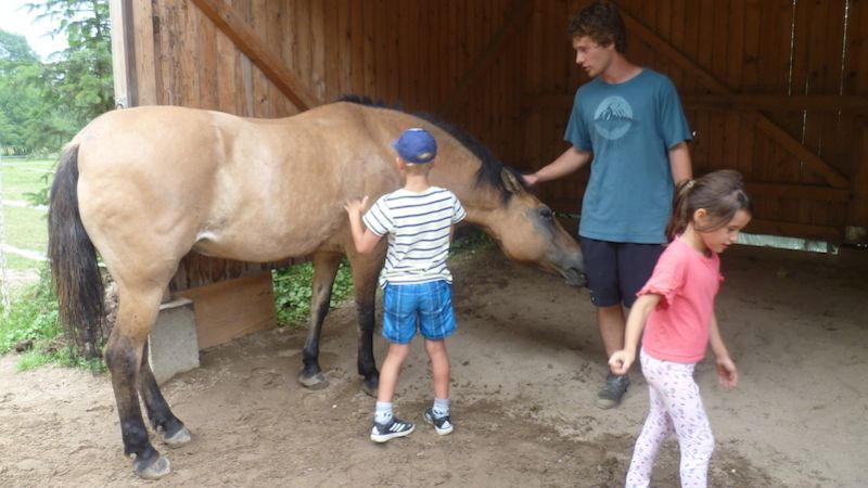 Prvním úkolem na příměstském táboru je seznámení s teorií a veškerou prací kolem koní.