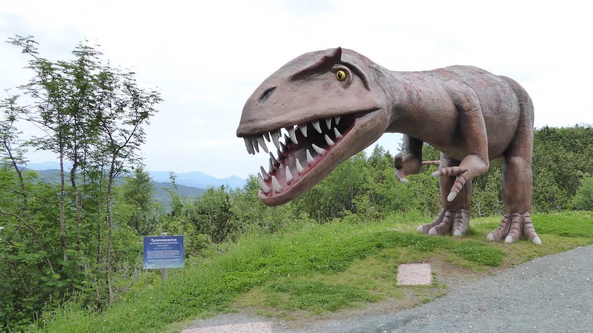 Nesmí chybět ani nejznámější dinosauří zástupce Tyrannosaurus Rex.
