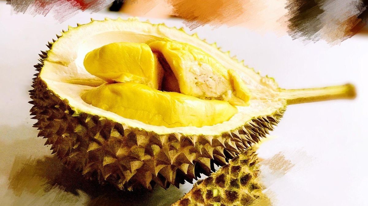 Existuje třicet druhů durianu, jedlých jich je devět. Smrdí všechny.