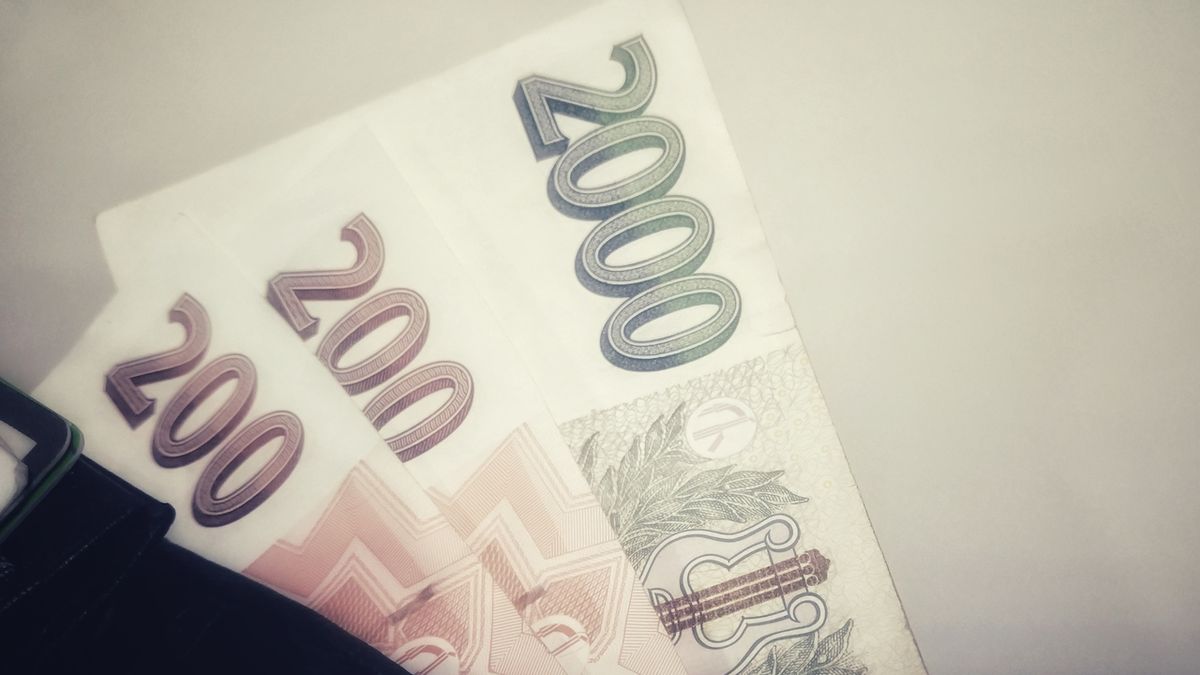 Žena v Plzni vrátila peněženku, bylo v ní skoro sto tisíc