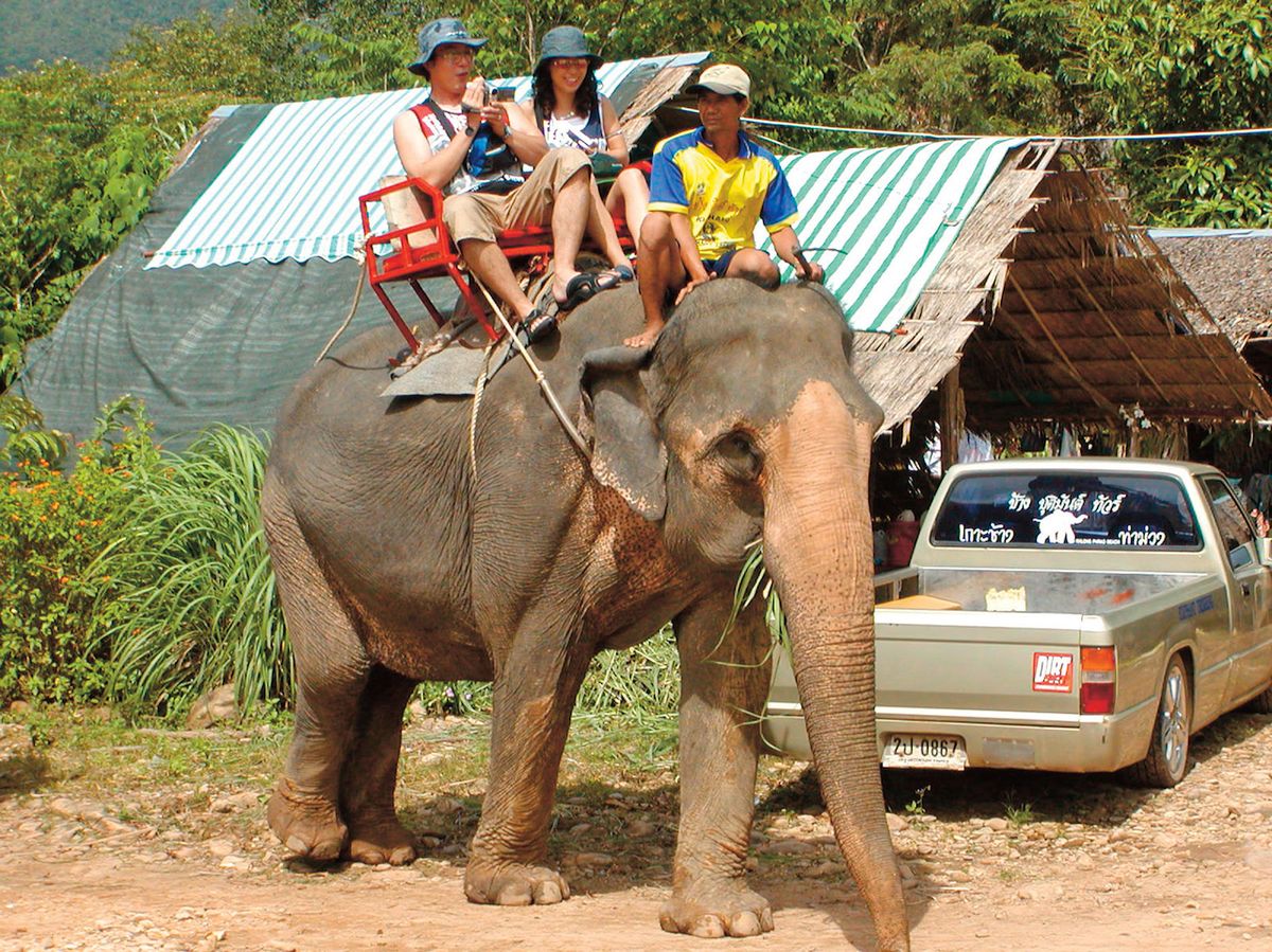Projížďka na slonu patří k oblíbeným kratochvílím návštěvníků Thajska.