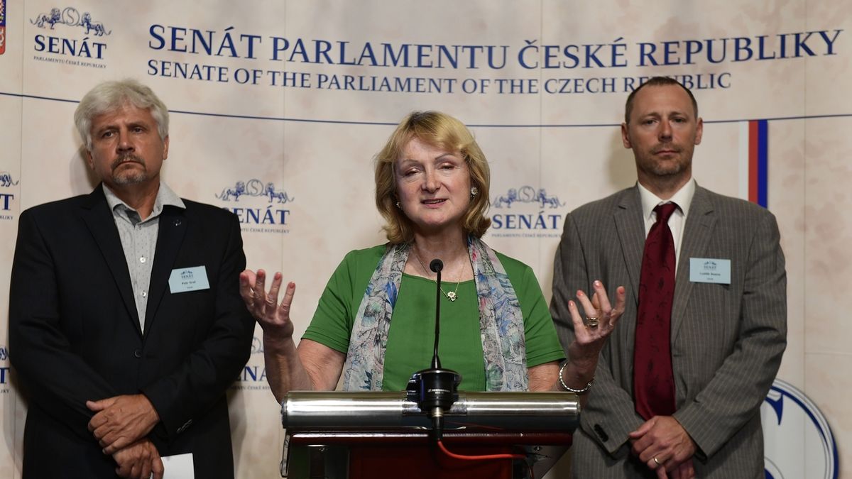 Zleva senátor Petr Orel (za Zelené), senátorka Jitka Seitlová (KDU-ČSL) a ředitel odboru strategie na ministerstvu dopravy Luděk Sosna.