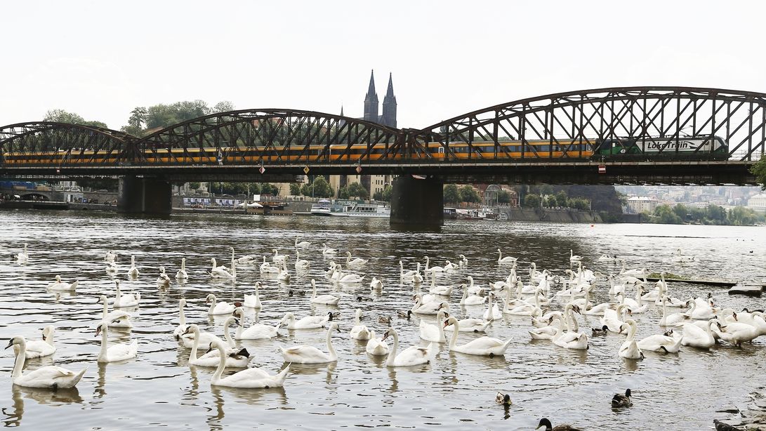 Nebourejte železniční most na Výtoni, patří k panoramatu Prahy, píše UNESCO českému státu