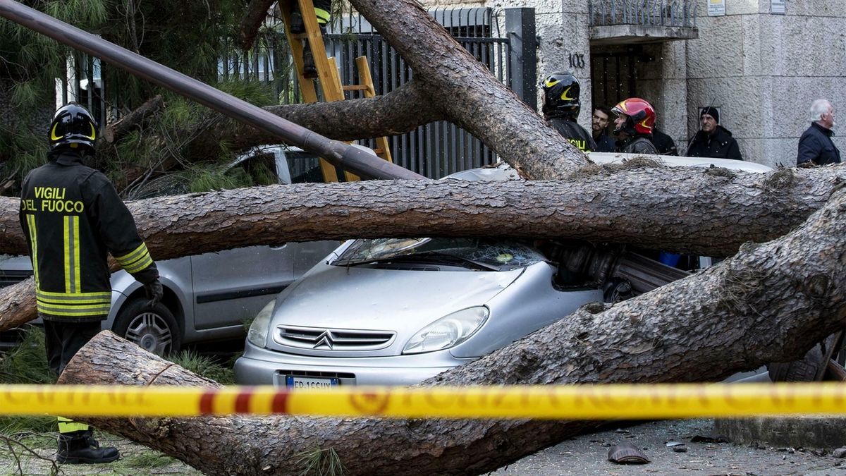 Italští hasiči odstraňují strom, který v Římě spadl na auto 