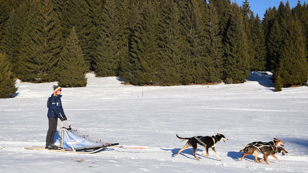 Projížďka se psím spřežením je v Trentinu oblíbenou zimní aktivitou.