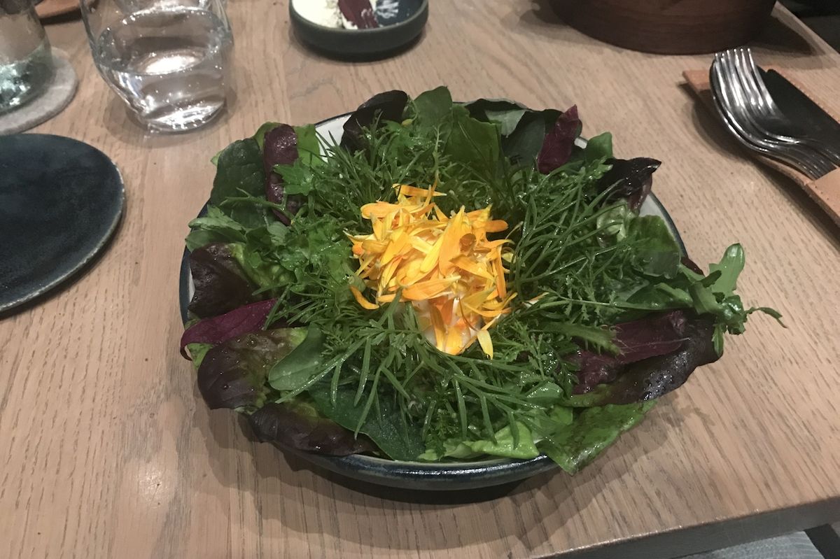 Zeleninový salát servírovaný v severském pojetí.