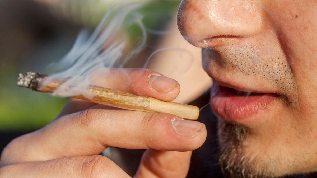 Marihuanu užívá každý desátý obyvatel Česka