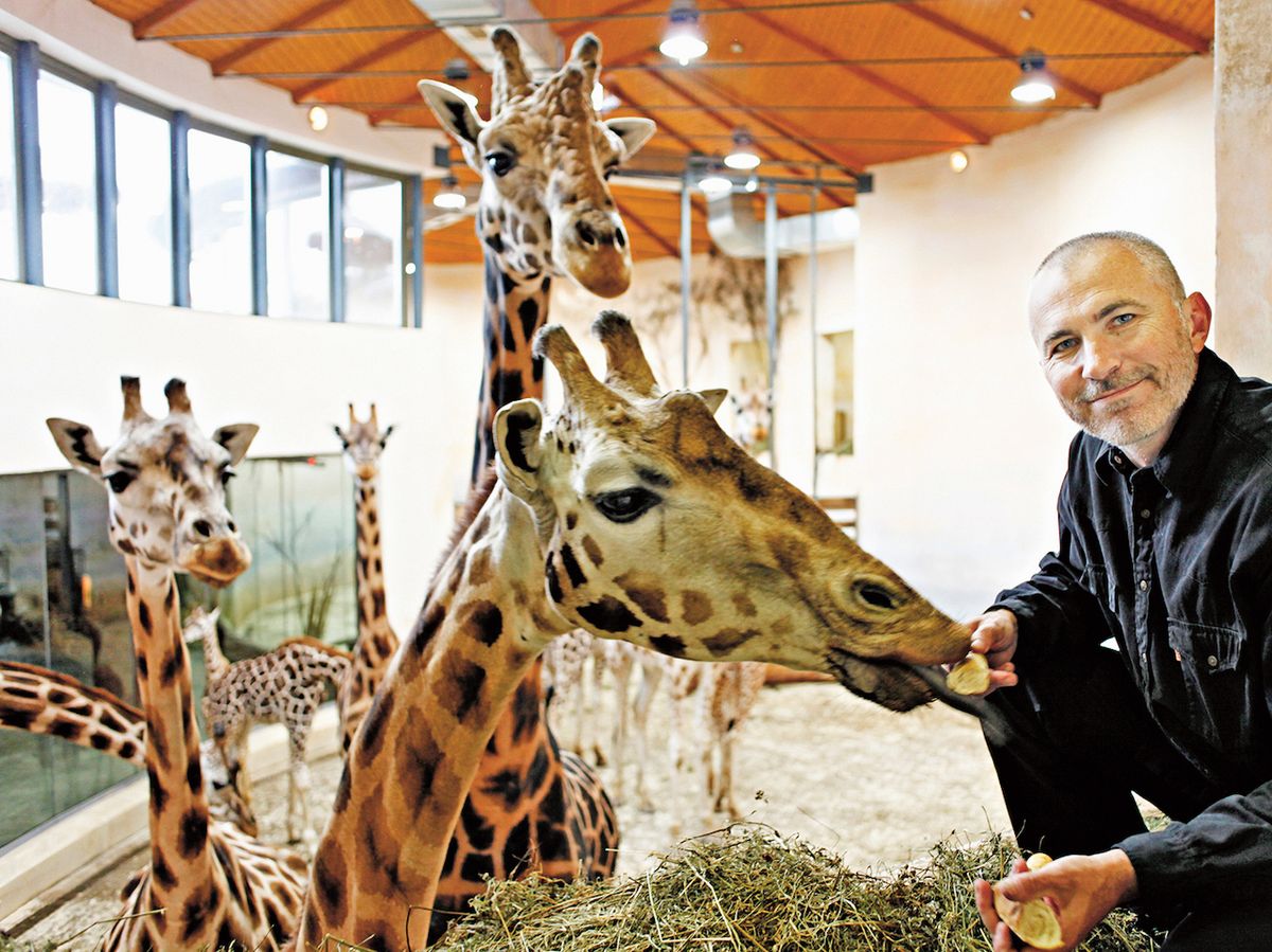 Jako ředitel zoo se postaral o novou vlnu zájmu o tuto pražskou atrakci.