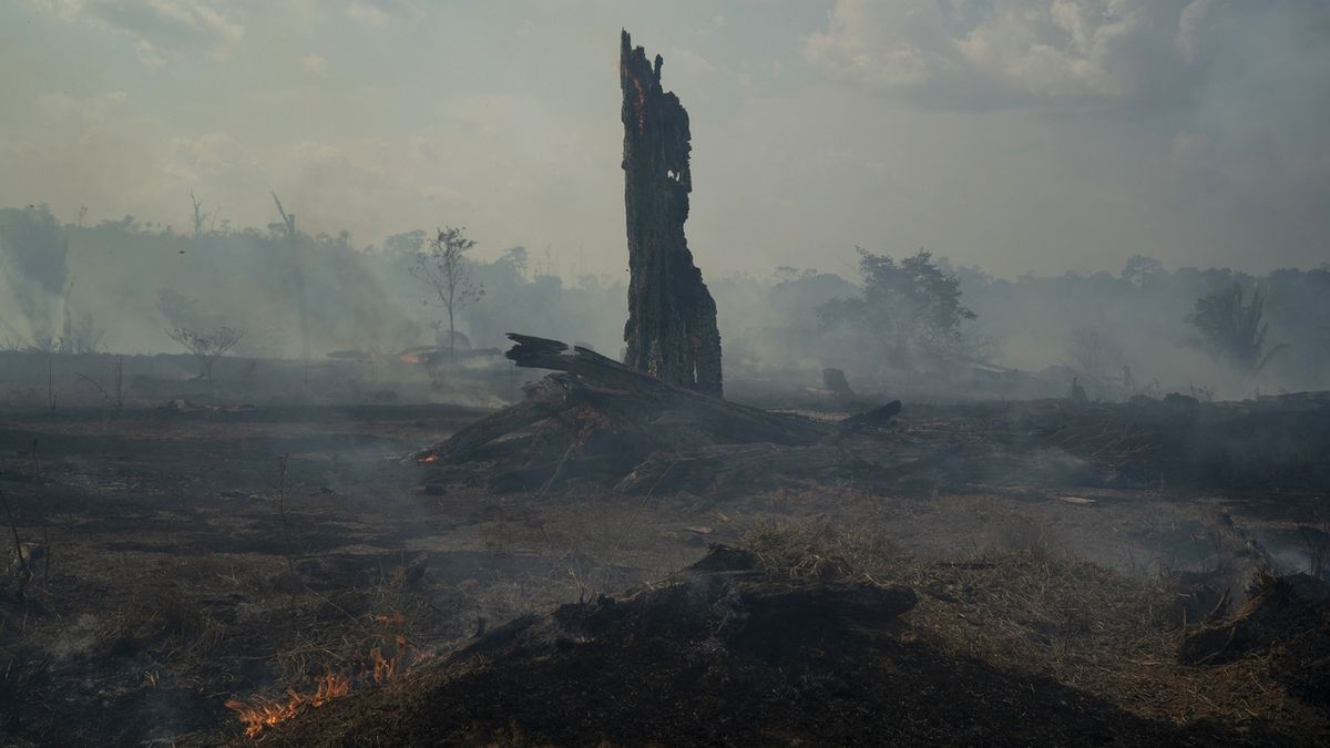 Požár pustoší amazonský prales, snímek z brazilské Altamiry.