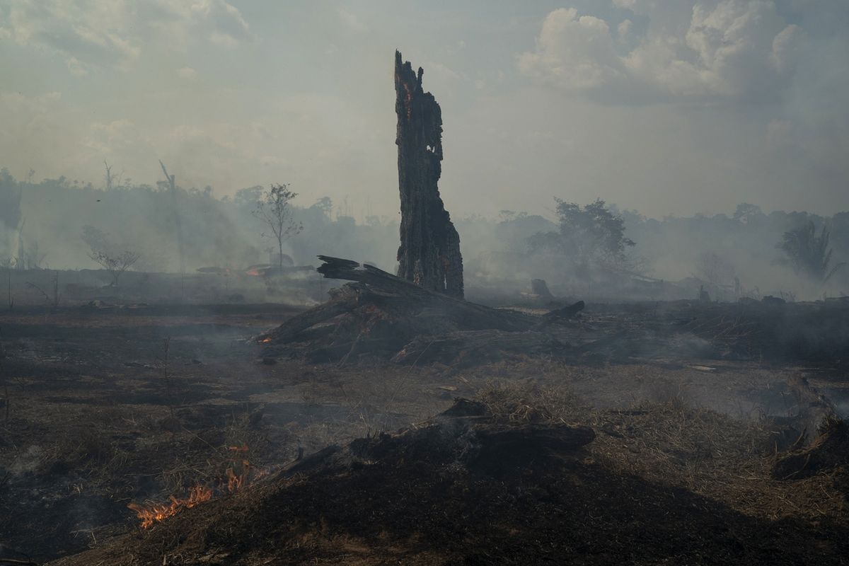 Požár pustoší Amazonský prales, snímek z brazilské Altamiry.
