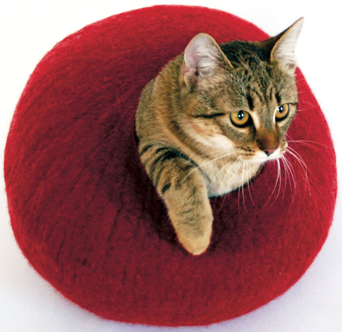 Plstěnou ulitu Red značky Bodline si oblíbí koťata, dospělé kočky i malá plemena. Lze ji proloupnout, slouží pak jako otevřený pelíšek. Vlna obsahuje vůni lanolinu, která kočky přitahuje. Cena 1100 Kč.