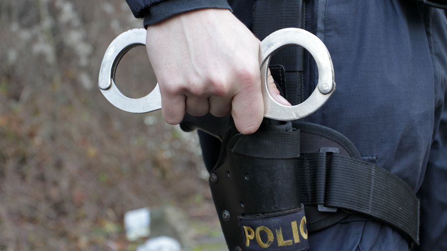 Policie zadržela podezřelého ze smrti ženy na Děčínsku. Její tělo našli ohořelé