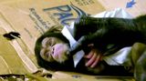 Čistá láska: Šimpanzí matka něžně pečovala o svou malou dceru