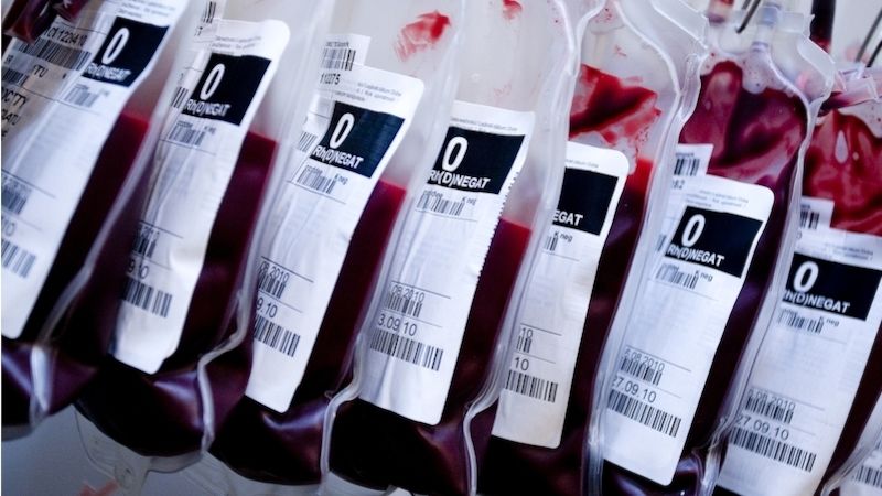 Minulý týden na odběrovém středisku v Šumperku zaznamenali denní rekord v počtu odběrů plné krve. 