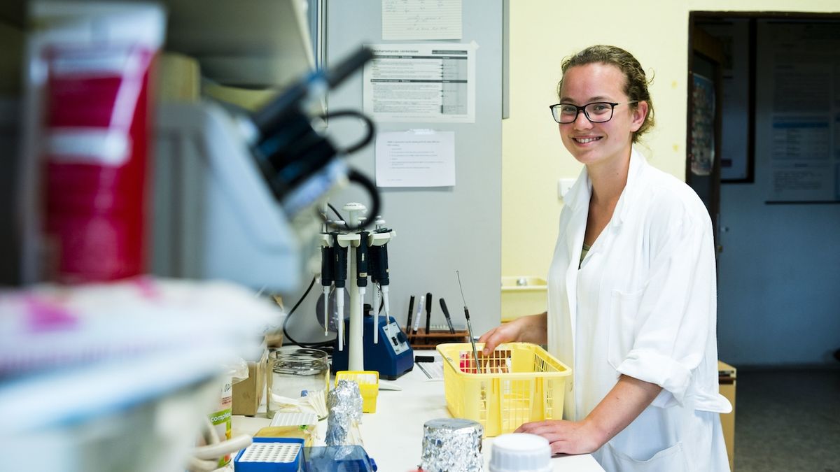 Středoškoláci si v laboratořích Akademie věd mohou vyzkoušet vědeckou práci v praxi.
