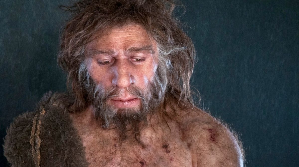 Model člověka neandertálského na ilustračním snímku