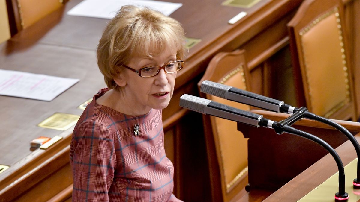 Kvůli ztracené zbrani se rozšíří kontroly u vstupu do Sněmovny