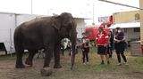 Cirkus Humberto otevřel veřejnosti své zázemí. Ukázal trénink slonů a šelem