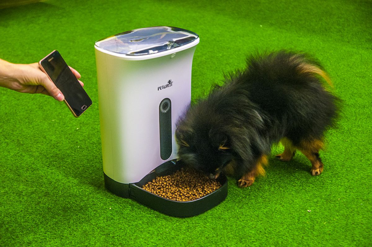 Pro psa, který z nejrůznějších důvodů potřebuje mít několikrát denně přesně stanovenou dávku krmiva, je ideálním zařízením automatický dávkovač krmiva.